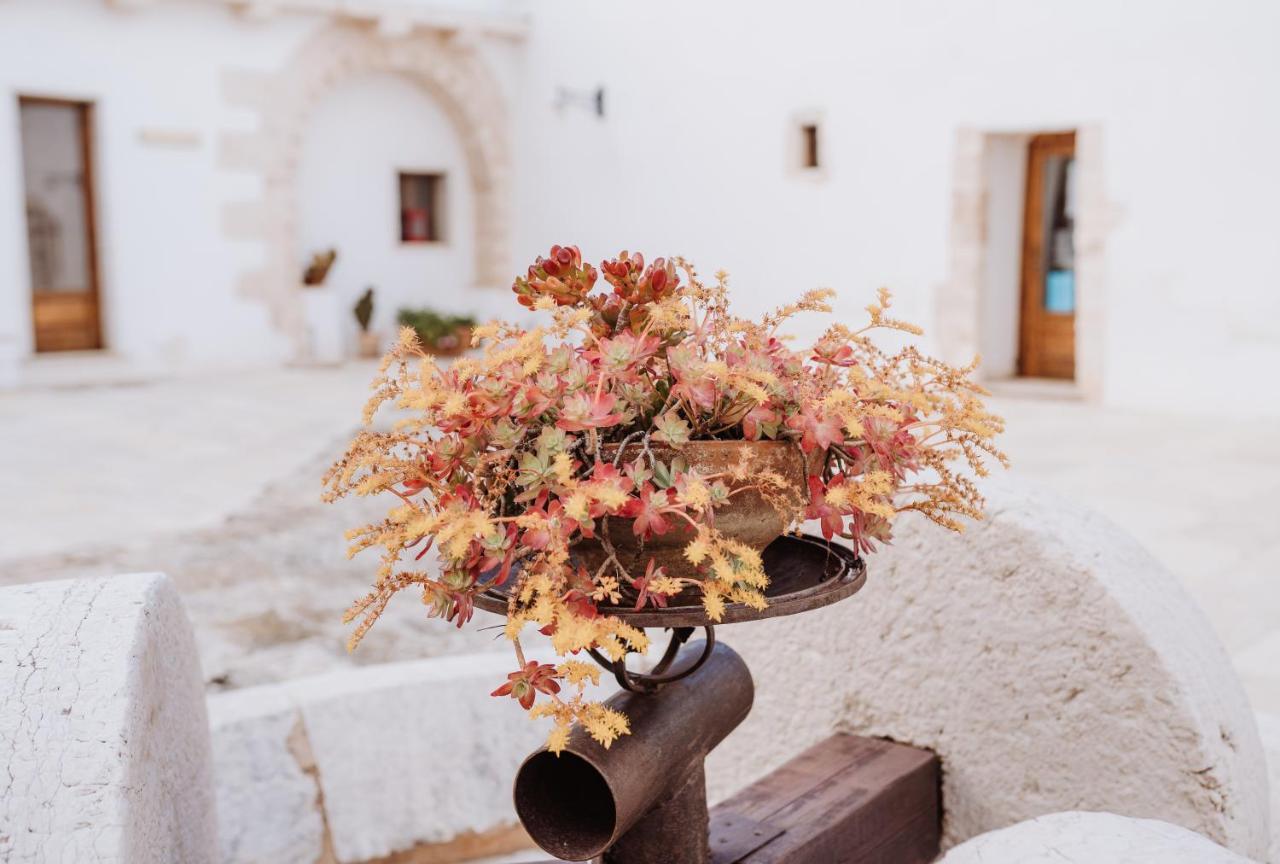 Masseria Casamassima Agriturismo Ostuni Eksteriør billede