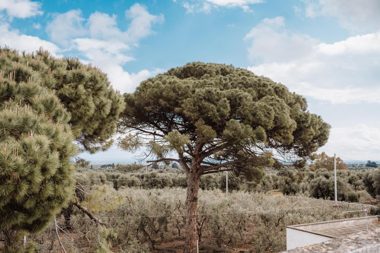 Masseria Casamassima Agriturismo Villa Ostuni Eksteriør billede