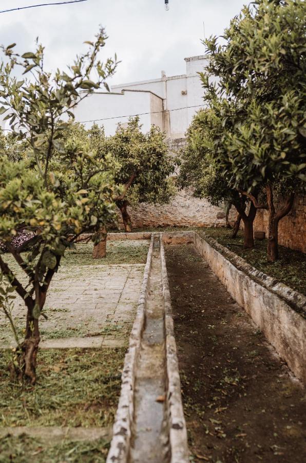 Masseria Casamassima Agriturismo Ostuni Eksteriør billede