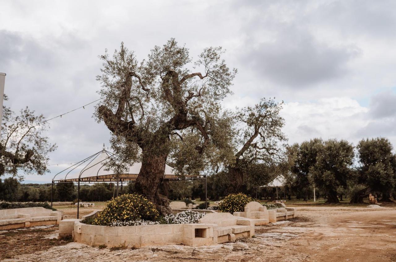 Masseria Casamassima Agriturismo Ostuni Eksteriør billede