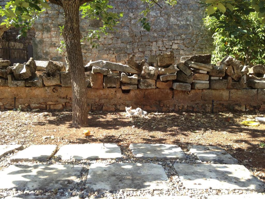Masseria Casamassima Agriturismo Villa Ostuni Eksteriør billede